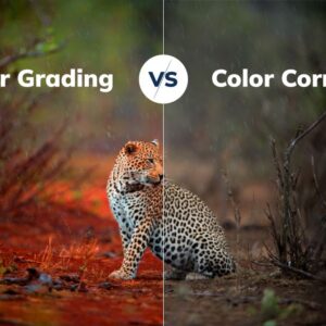 I will do professional color grading and color correction